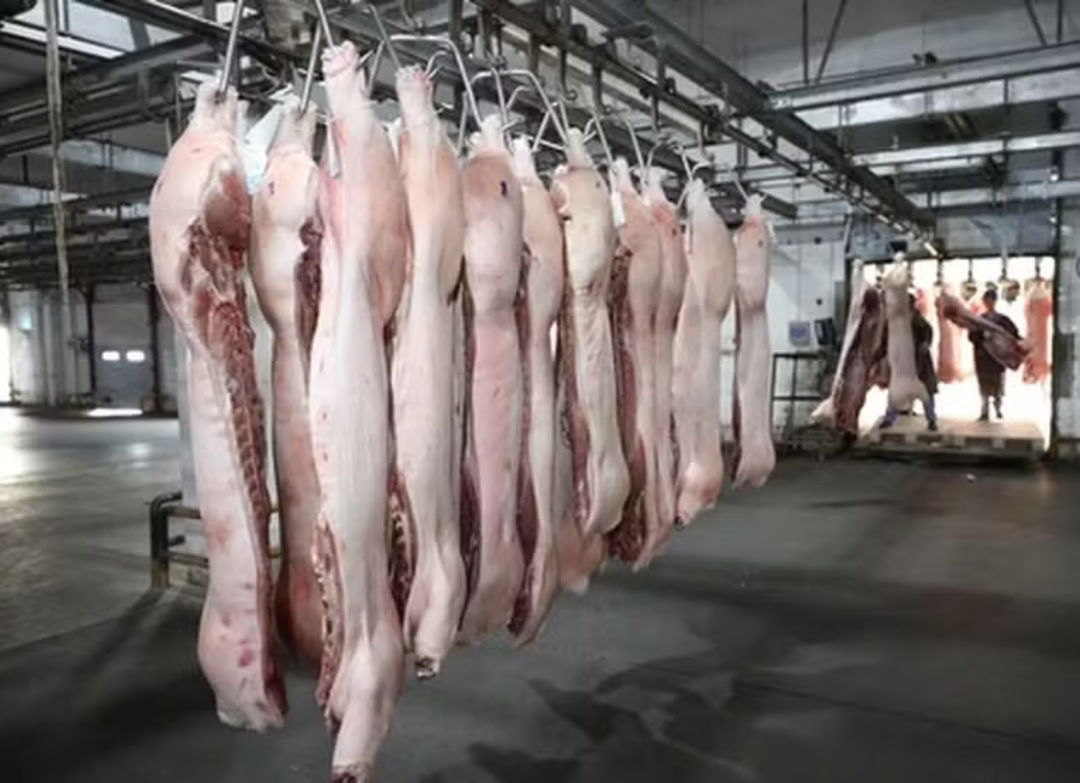 Indústria de carnes vê cenário positivo para exportações