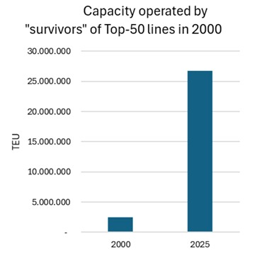 WhatsApp Image 2025-04-01 at 14.49.19